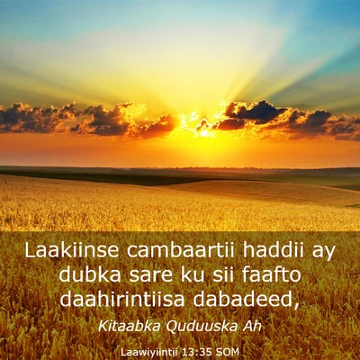 Picture 03 - Laawiyiintii 13:35 SOM - Laakiinse cambaartii haddii ay dubka sare ku sii - Bible Verse Picture