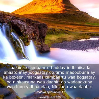 Picture 03 - Laawiyiintii 13:37 SOM - Laakiinse cambaartu hadday indhihiisa la ahaato - Bible Verse Picture