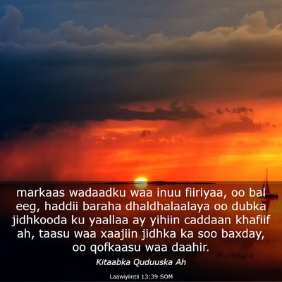 Picture 03 - Laawiyiintii 13:39 SOM - markaas wadaadku waa inuu fiiriyaa, oo bal eeg, - Bible Verse Picture