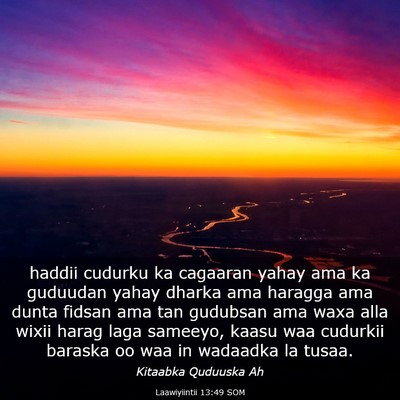 Picture 03 - Laawiyiintii 13:49 SOM - haddii cudurku ka cagaaran yahay ama ka guduudan - Bible Verse Picture