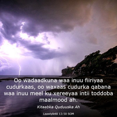 Picture 03 - Laawiyiintii 13:50 SOM - Oo wadaadkuna waa inuu fiiriyaa cudurkaas, oo - Bible Verse Picture