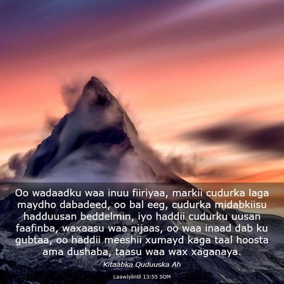 Picture 03 - Laawiyiintii 13:55 SOM - Oo wadaadku waa inuu fiiriyaa, markii cudurka - Bible Verse Picture