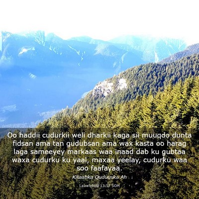 Picture 03 - Laawiyiintii 13:57 SOM - Oo haddii cudurkii weli dharkii kaga sii muuqdo - Bible Verse Picture