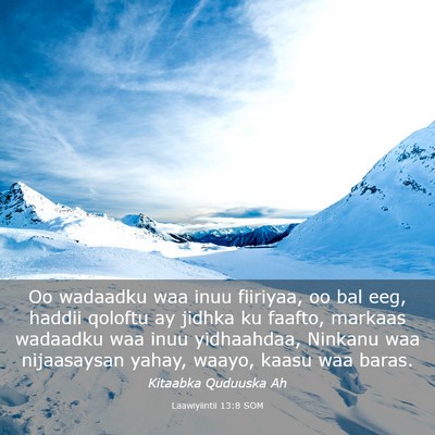 Picture 03 - Laawiyiintii 13:8 SOM - Oo wadaadku waa inuu fiiriyaa, oo bal eeg, haddii - Bible Verse Picture