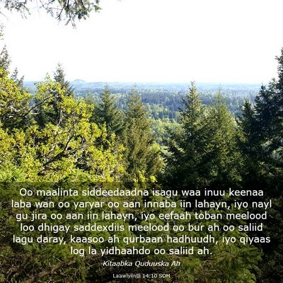 Picture 03 - Laawiyiintii 14:10 SOM - Oo maalinta siddeedaadna isagu waa inuu keenaa - Bible Verse Picture