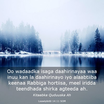 Picture 03 - Laawiyiintii 14:11 SOM - Oo wadaadka isaga daahirinayaa waa inuu kan la - Bible Verse Picture