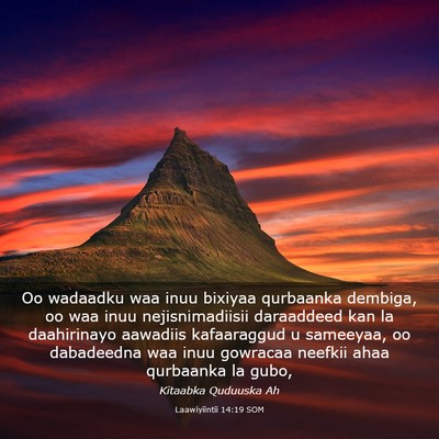 Picture 03 - Laawiyiintii 14:19 SOM - Oo wadaadku waa inuu bixiyaa qurbaanka dembiga, - Bible Verse Picture