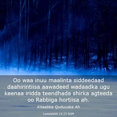 Picture 03 - Laawiyiintii 14:23 SOM - Oo waa inuu maalinta siddeedaad daahirintiisa - Bible Verse Picture