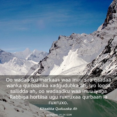 Picture 03 - Laawiyiintii 14:24 SOM - Oo wadaadku markaas waa inuu soo qaadaa wanka - Bible Verse Picture