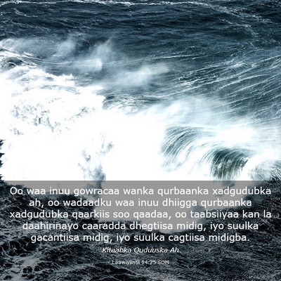 Picture 03 - Laawiyiintii 14:25 SOM - Oo waa inuu gowracaa wanka qurbaanka xadgudubka - Bible Verse Picture