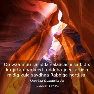 Picture 03 - Laawiyiintii 14:27 SOM - Oo waa inuu saliidda calaacashiisa bidix ku jirta - Bible Verse Picture