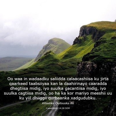 Picture 03 - Laawiyiintii 14:28 SOM - Oo waa in wadaadku saliidda calaacashiisa ku - Bible Verse Picture