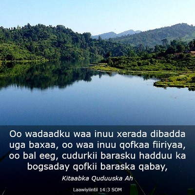 Picture 03 - Laawiyiintii 14:3 SOM - Oo wadaadku waa inuu xerada dibadda uga baxaa, oo - Bible Verse Picture