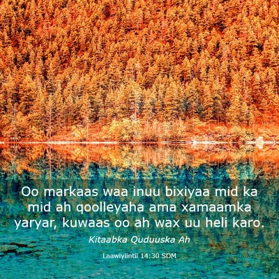 Picture 03 - Laawiyiintii 14:30 SOM - Oo markaas waa inuu bixiyaa mid ka mid ah - Bible Verse Picture