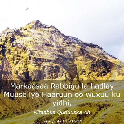 Picture 03 - Laawiyiintii 14:33 SOM - Markaasaa Rabbigu la hadlay Muuse iyo Haaruun oo - Bible Verse Picture