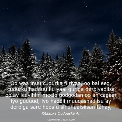 Picture 03 - Laawiyiintii 14:37 SOM - Oo waa inuu cudurka fiiriyaa, oo bal eeg, cudurku - Bible Verse Picture