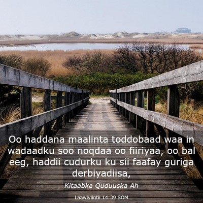 Picture 03 - Laawiyiintii 14:39 SOM - Oo haddana maalinta toddobaad waa in wadaadku soo - Bible Verse Picture