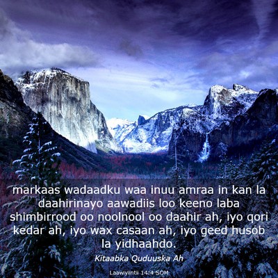 Picture 03 - Laawiyiintii 14:4 SOM - markaas wadaadku waa inuu amraa in kan la - Bible Verse Picture