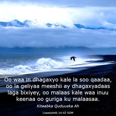 Picture 03 - Laawiyiintii 14:42 SOM - Oo waa in dhagaxyo kale la soo qaadaa, oo la - Bible Verse Picture