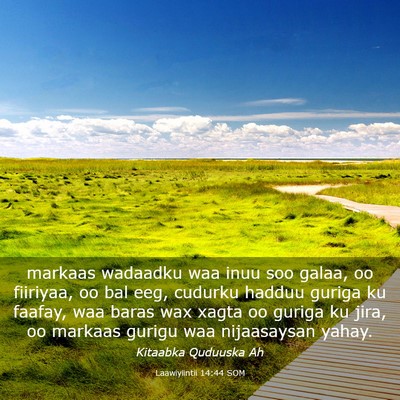 Picture 03 - Laawiyiintii 14:44 SOM - markaas wadaadku waa inuu soo galaa, oo fiiriyaa, - Bible Verse Picture