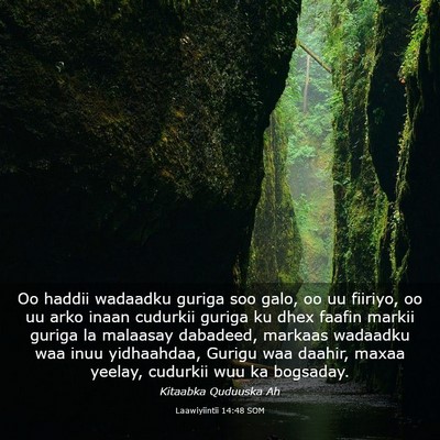 Picture 03 - Laawiyiintii 14:48 SOM - Oo haddii wadaadku guriga soo galo, oo uu - Bible Verse Picture