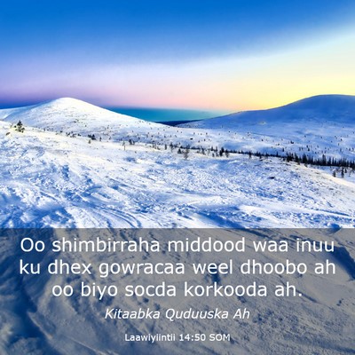 Picture 03 - Laawiyiintii 14:50 SOM - Oo shimbirraha middood waa inuu ku dhex gowracaa - Bible Verse Picture