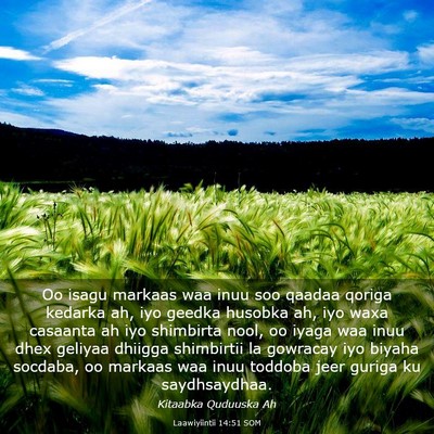 Picture 03 - Laawiyiintii 14:51 SOM - Oo isagu markaas waa inuu soo qaadaa qoriga - Bible Verse Picture