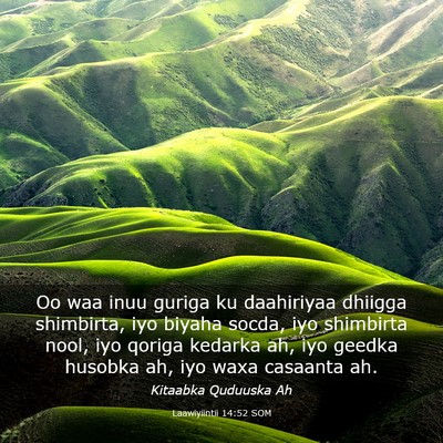 Picture 03 - Laawiyiintii 14:52 SOM - Oo waa inuu guriga ku daahiriyaa dhiigga - Bible Verse Picture