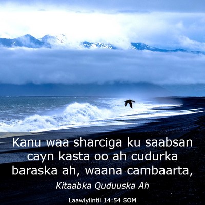 Picture 03 - Laawiyiintii 14:54 SOM - Kanu waa sharciga ku saabsan cayn kasta oo ah - Bible Verse Picture