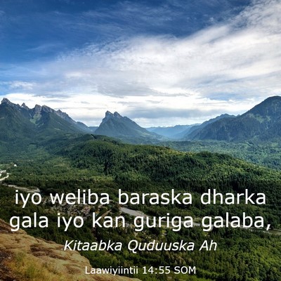 Picture 03 - Laawiyiintii 14:55 SOM - iyo weliba baraska dharka gala iyo kan guriga - Bible Verse Picture