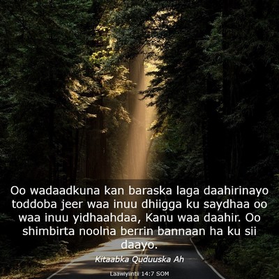 Picture 03 - Laawiyiintii 14:7 SOM - Oo wadaadkuna kan baraska laga daahirinayo - Bible Verse Picture