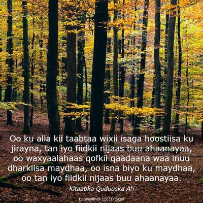 Picture 03 - Laawiyiintii 15:10 SOM - Oo ku alla kii taabtaa wixii isaga hoostiisa ku - Bible Verse Picture