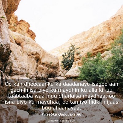 Picture 03 - Laawiyiintii 15:11 SOM - Oo kan dheecaanku ka daadanayo isagoo aan - Bible Verse Picture