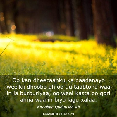 Picture 03 - Laawiyiintii 15:12 SOM - Oo kan dheecaanku ka daadanayo weelkii dhoobo ah - Bible Verse Picture