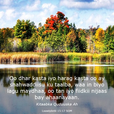 Picture 03 - Laawiyiintii 15:17 SOM - Oo dhar kasta iyo harag kasta oo ay shahwaddiisu - Bible Verse Picture