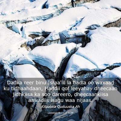 Picture 03 - Laawiyiintii 15:2 SOM - Dadka reer binu Israa'iil la hadla oo waxaad ku - Bible Verse Picture