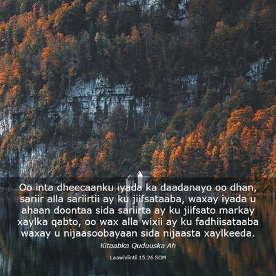 Picture 03 - Laawiyiintii 15:26 SOM - Oo inta dheecaanku iyada ka daadanayo oo dhan, - Bible Verse Picture