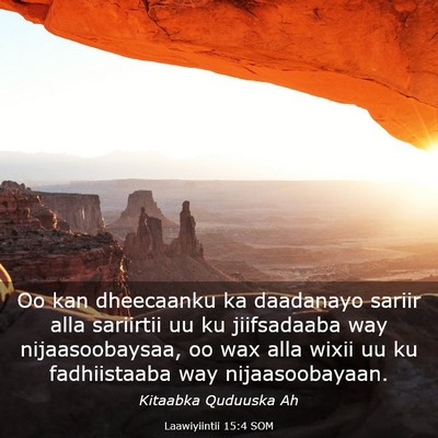 Picture 03 - Laawiyiintii 15:4 SOM - Oo kan dheecaanku ka daadanayo sariir alla - Bible Verse Picture