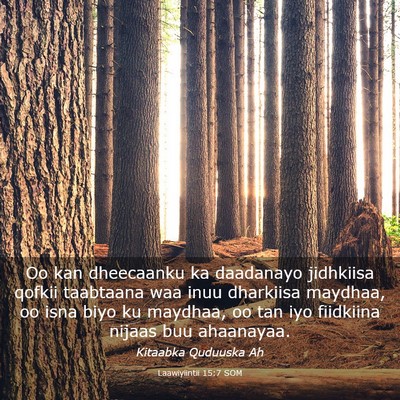 Picture 03 - Laawiyiintii 15:7 SOM - Oo kan dheecaanku ka daadanayo jidhkiisa qofkii - Bible Verse Picture
