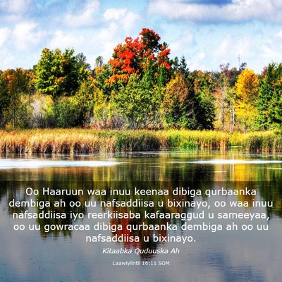 Picture 03 - Laawiyiintii 16:11 SOM - Oo Haaruun waa inuu keenaa dibiga qurbaanka - Bible Verse Picture