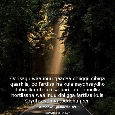 Picture 03 - Laawiyiintii 16:14 SOM - Oo isagu waa inuu qaadaa dhiiggii dibiga - Bible Verse Picture