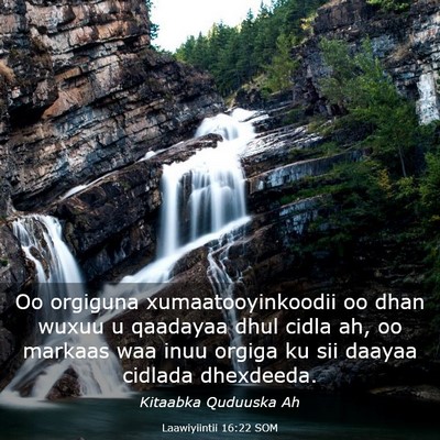 Picture 03 - Laawiyiintii 16:22 SOM - Oo orgiguna xumaatooyinkoodii oo dhan wuxuu u - Bible Verse Picture