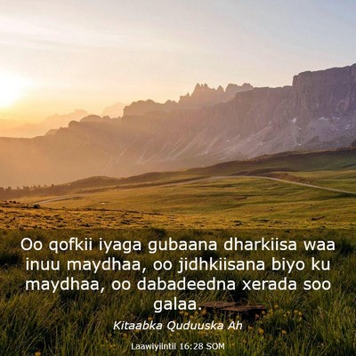 Picture 03 - Laawiyiintii 16:28 SOM - Oo qofkii iyaga gubaana dharkiisa waa inuu - Bible Verse Picture