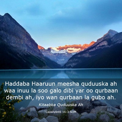 Picture 03 - Laawiyiintii 16:3 SOM - Haddaba Haaruun meesha quduuska ah waa inuu la - Bible Verse Picture