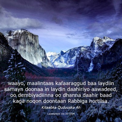 Picture 03 - Laawiyiintii 16:30 SOM - waayo, maalintaas kafaaraggud baa laydiin samayn - Bible Verse Picture