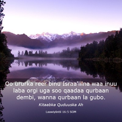 Picture 03 - Laawiyiintii 16:5 SOM - Oo ururka reer binu Israa'iilna waa inuu laba - Bible Verse Picture