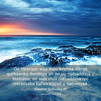 Picture 03 - Laawiyiintii 16:6 SOM - Oo Haaruun waa inuu keenaa dibiga qurbaanka - Bible Verse Picture