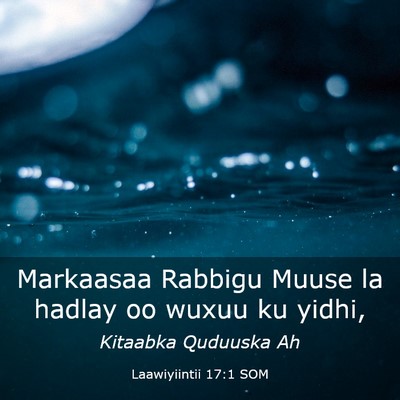 Picture 03 - Laawiyiintii 17:1 SOM - Markaasaa Rabbigu Muuse la hadlay oo wuxuu ku - Bible Verse Picture
