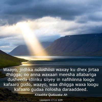 Picture 03 - Laawiyiintii 17:11 SOM - Waayo, jiidhka noloshiisii waxay ku dhex jirtaa - Bible Verse Picture