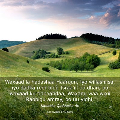 Picture 03 - Laawiyiintii 17:2 SOM - Waxaad la hadashaa Haaruun, iyo wiilashiisa, iyo - Bible Verse Picture
